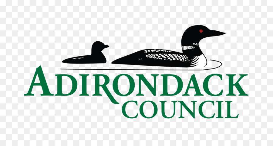 Canard，Adirondack Conseil PNG