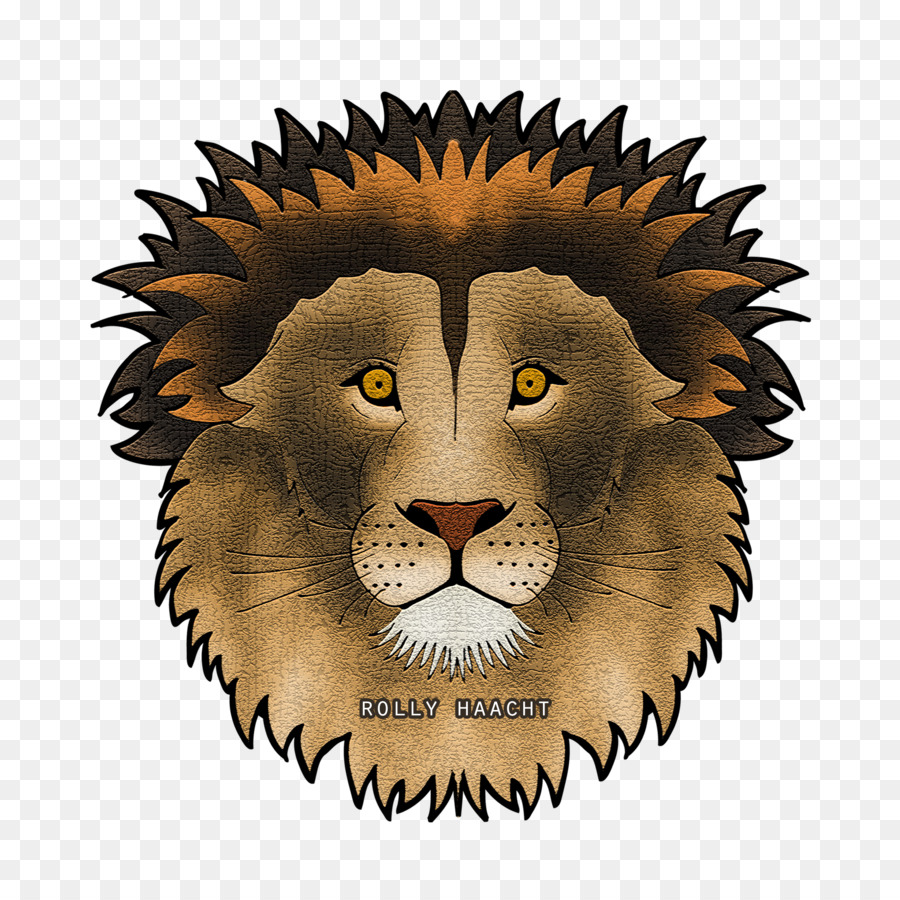 Lion，Crinière PNG