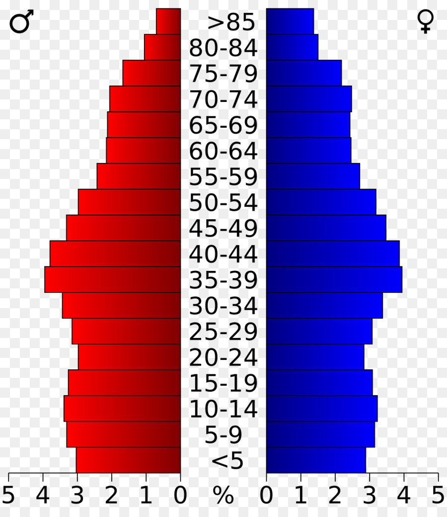 Pyramide Des âges，Données Démographiques PNG