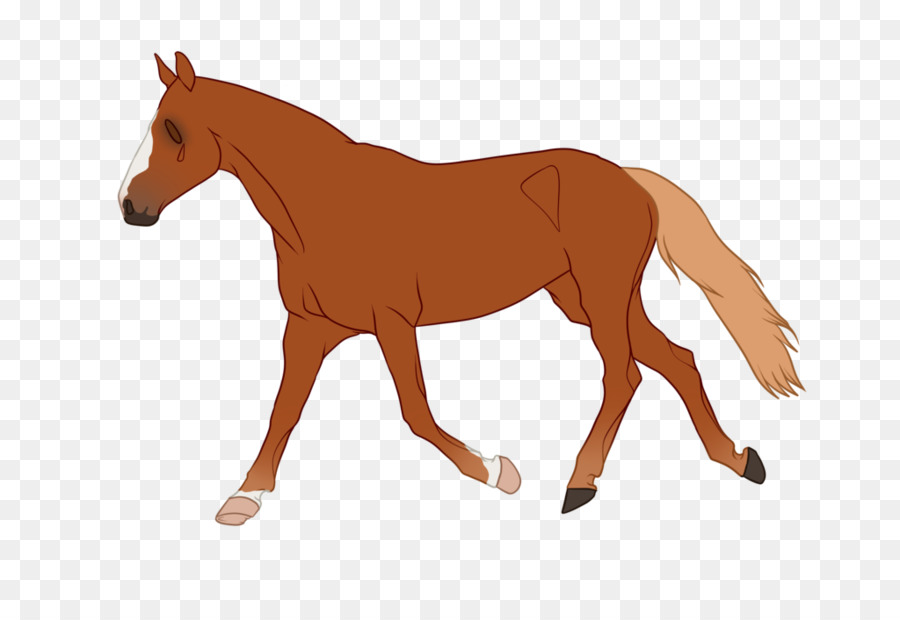 Cheval，Poney PNG