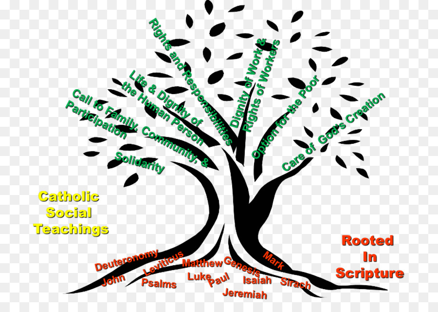 Diagramme En Arbre，Succursales PNG