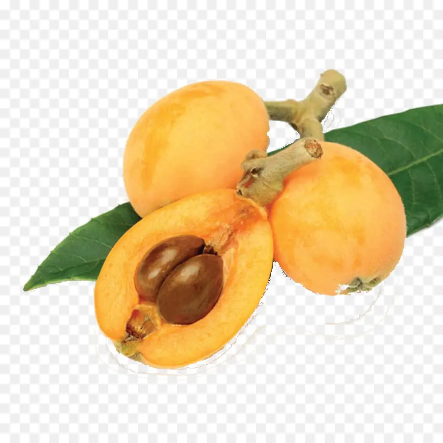 Néflier Du Japon，Fruits PNG