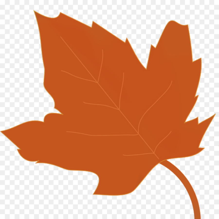 Feuille Rouge，Automne PNG