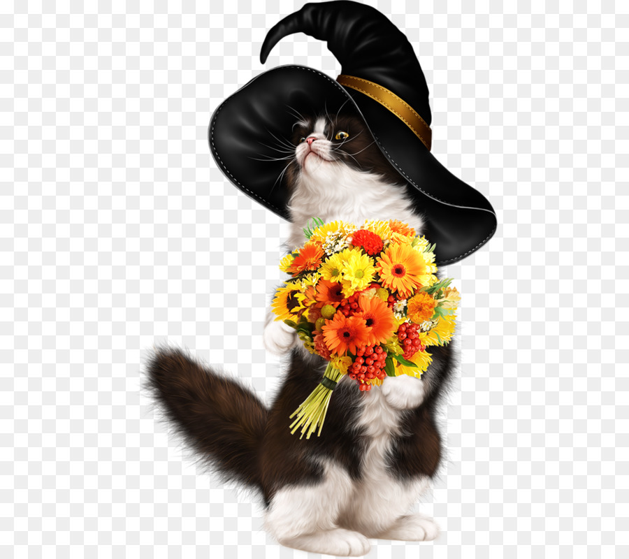 Chat Avec Des Fleurs，Chapeau PNG