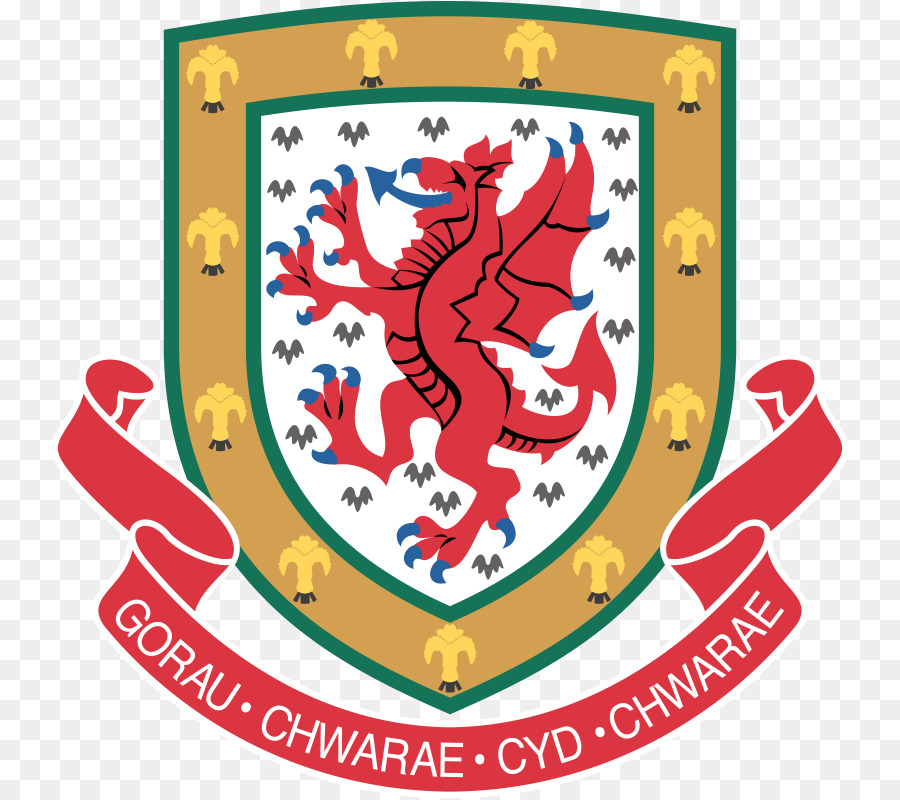 équipe Nationale De Football Du Pays De Galles，Chine De La Coupe Du PNG