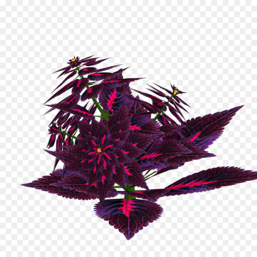 Feuille，Violet PNG