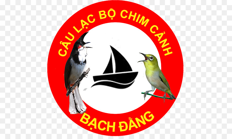 Logo，Oiseau PNG