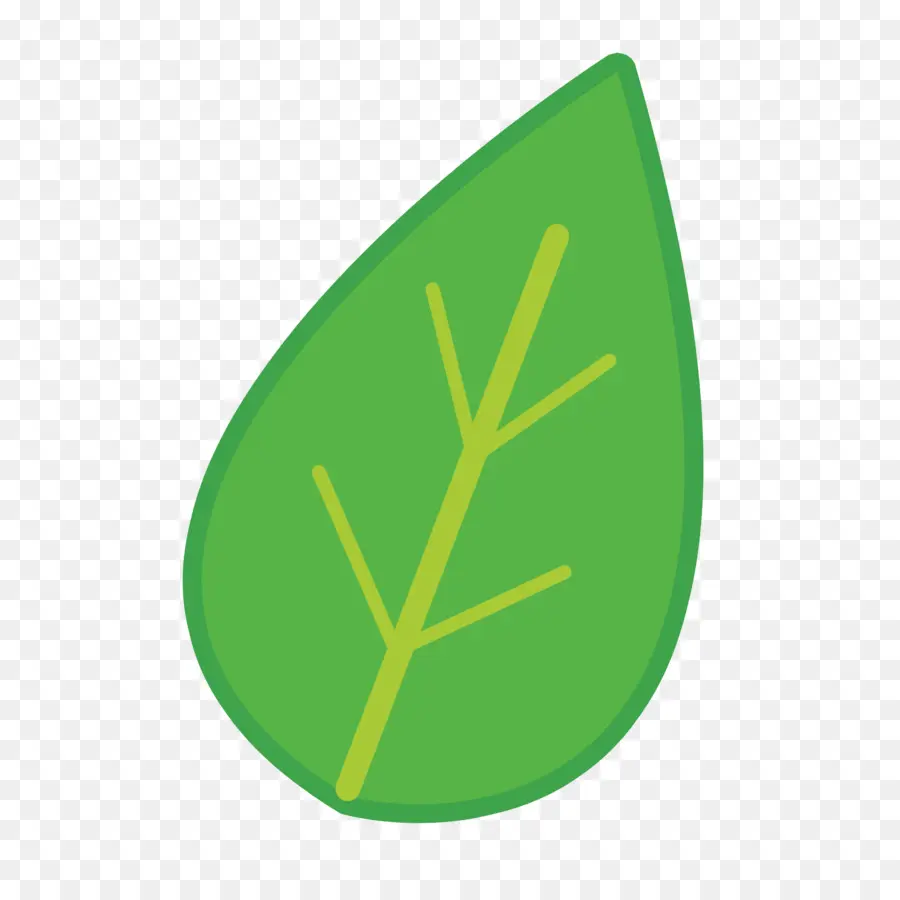 Feuille Verte，Feuille PNG