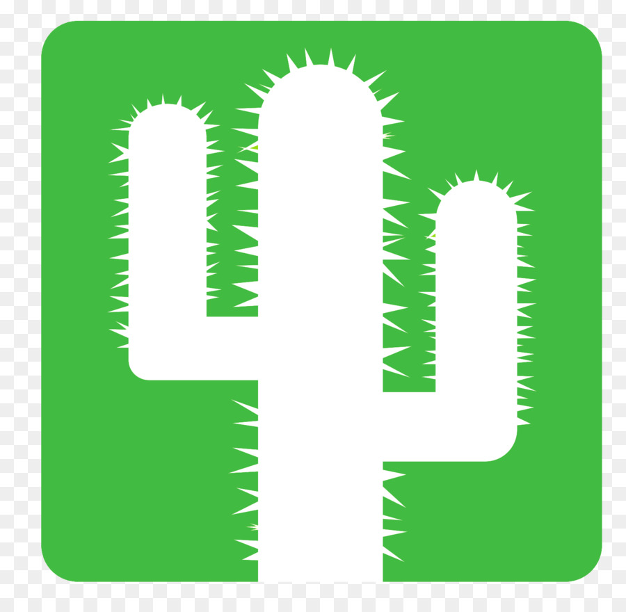 Cactus Et Succulentes，Plante Succulente PNG
