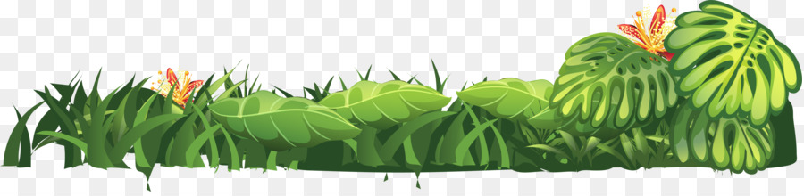 Agropyre，Feuille PNG