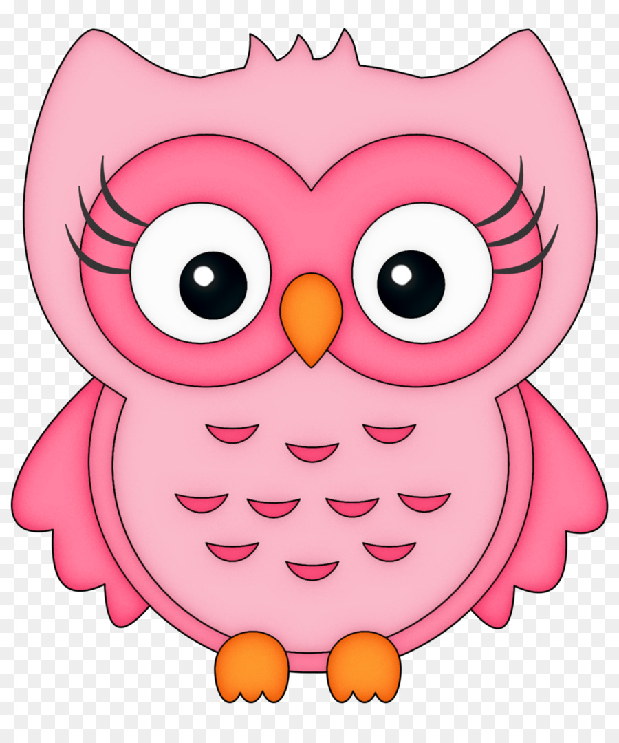 Chouette De Dessin Animé，Hibou PNG