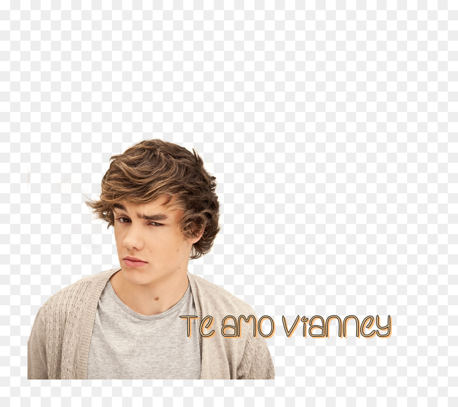 Liam Payne，Une Direction PNG