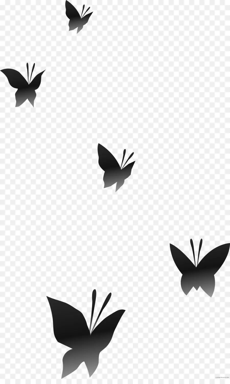 Papillons，Vol PNG