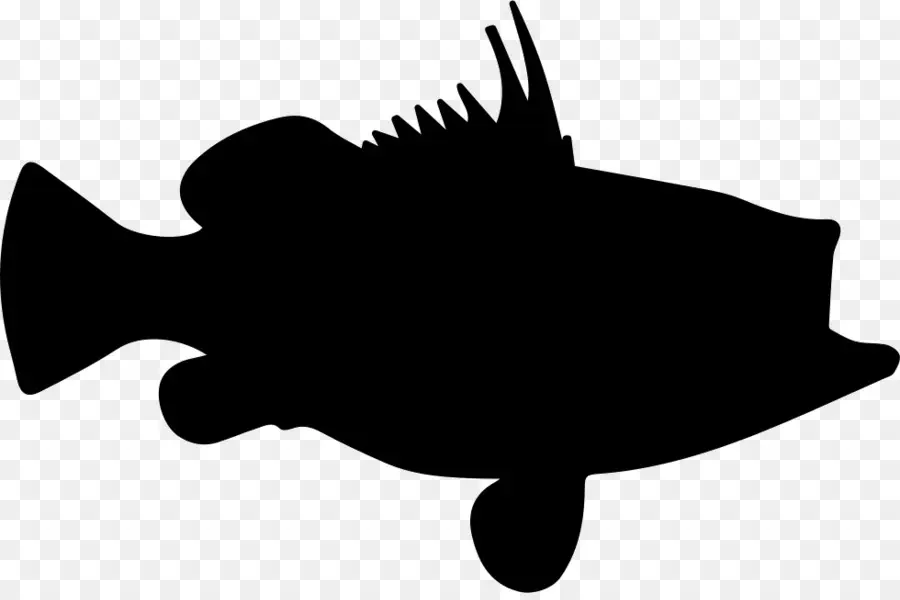 Silhouette，Les Poissons PNG