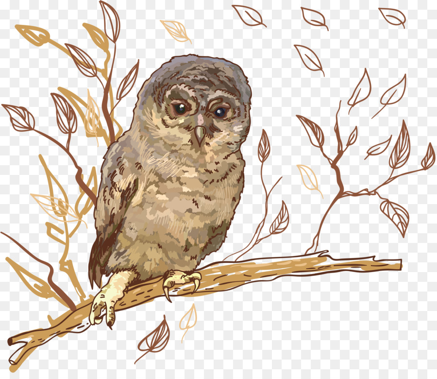 Chouette，Grand Hibou Gris PNG