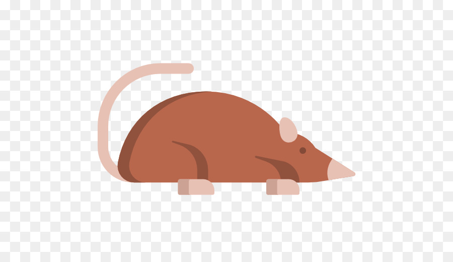 Souris，Rongeur PNG