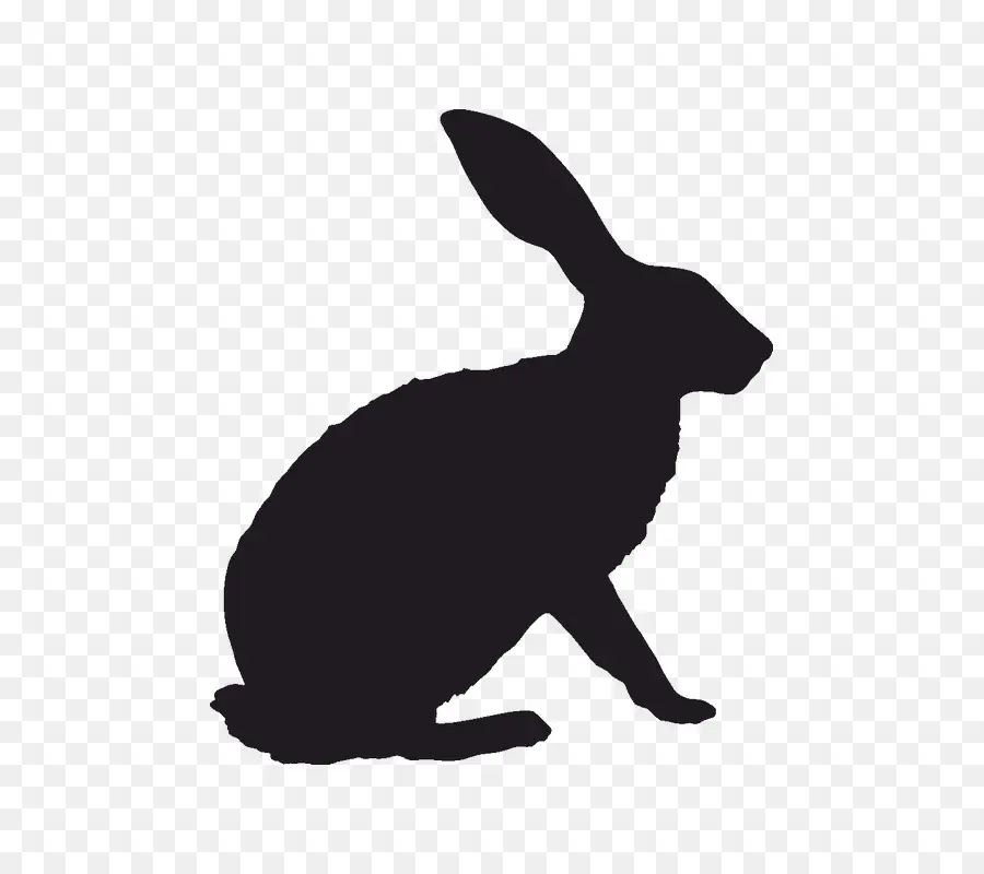 Silhouette De Lapin，Lièvre PNG