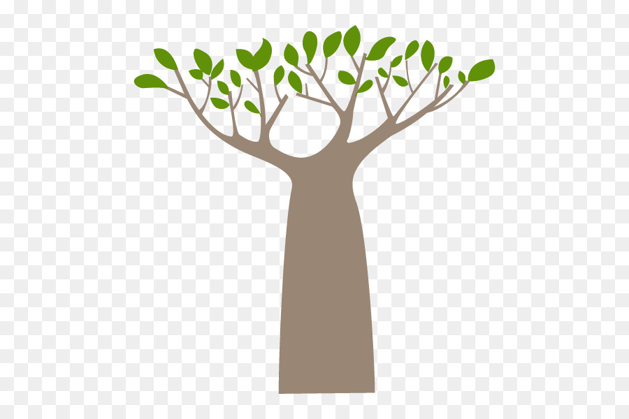 Arbre，Feuilles PNG