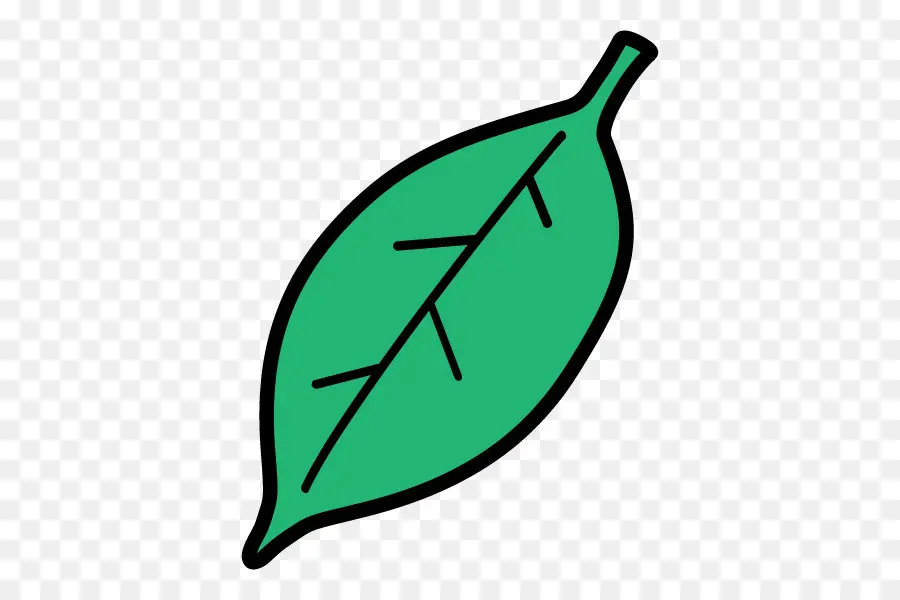 Feuille Verte，Nature PNG