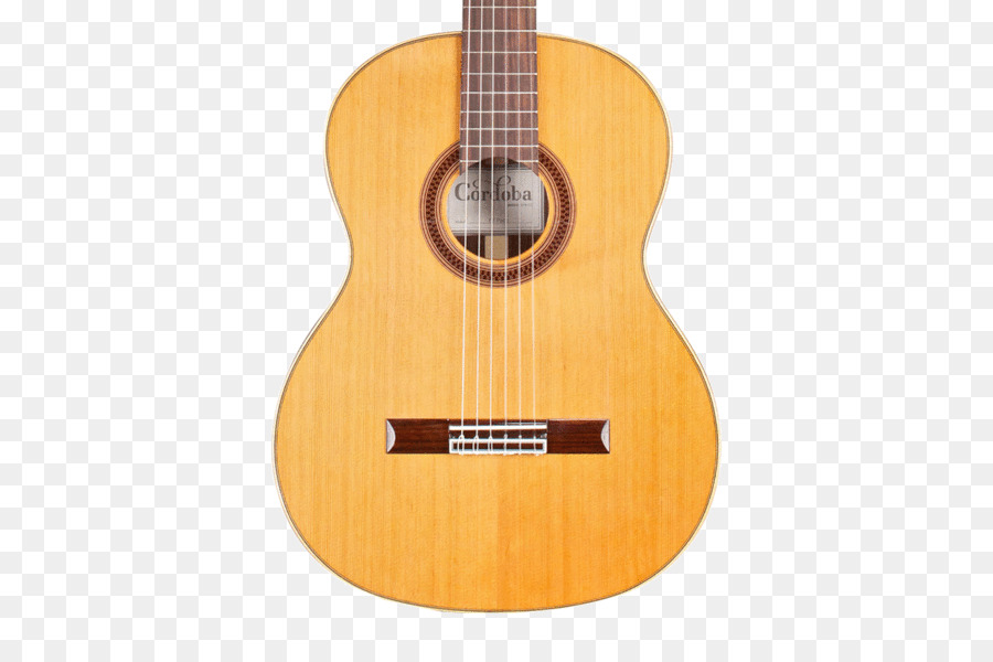 Instruments De Musique，Guitare PNG