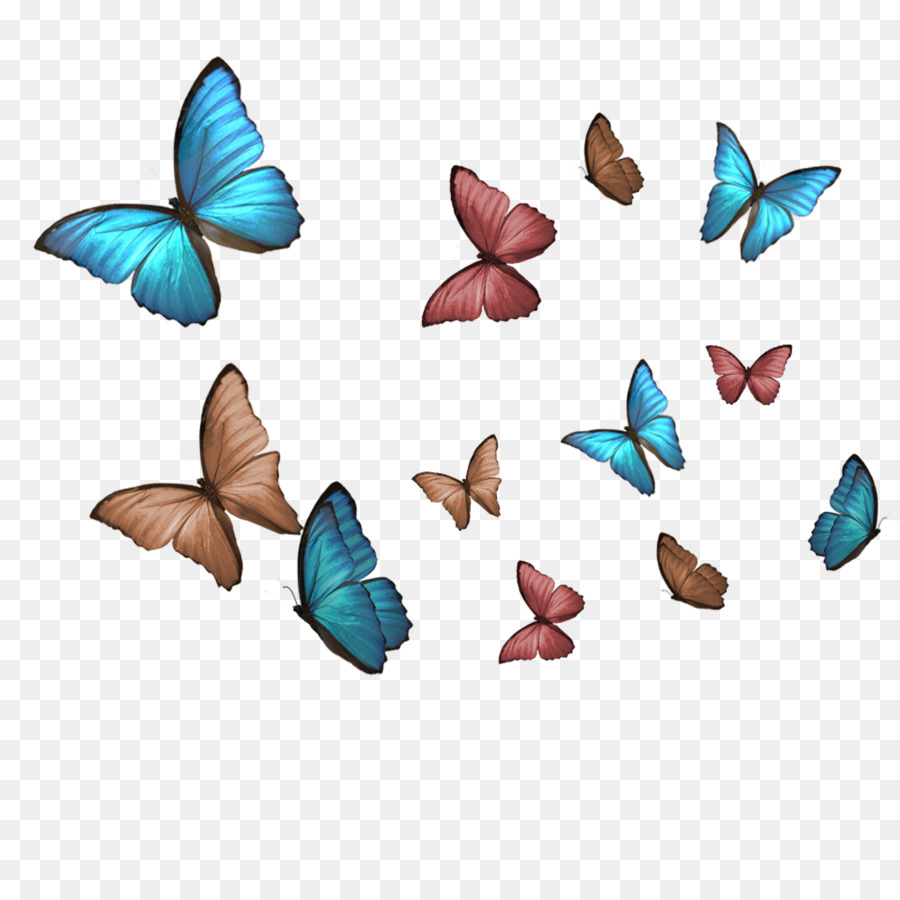 Papillons，Ailes PNG