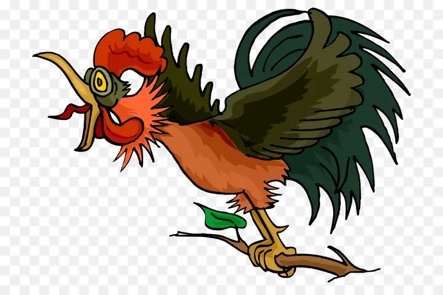 Coq De Dessin Animé，Oiseau PNG