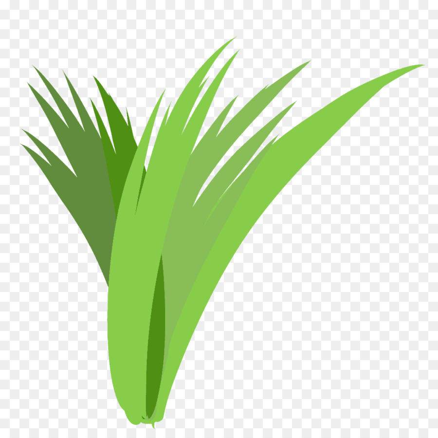 Plante Verte，Nature PNG