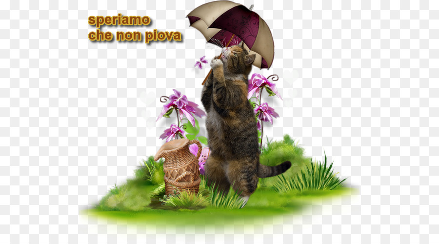 Chat Avec Parapluie，Fleurs PNG