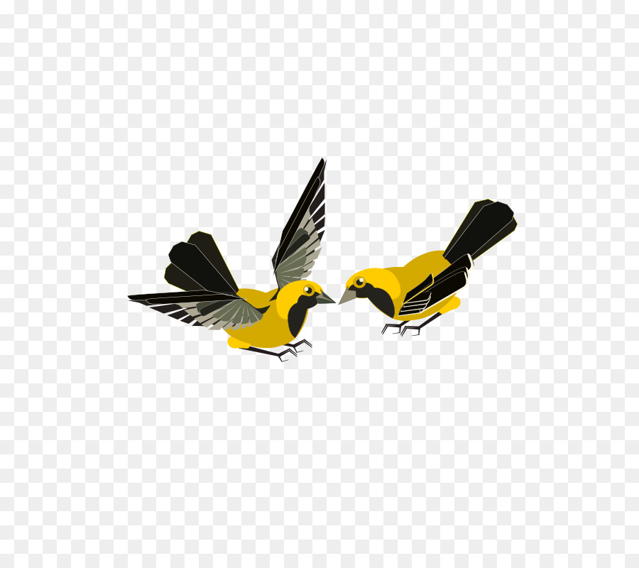 Oiseaux Jaunes，Vol PNG