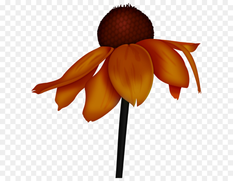 Les Fleurs Coupées，Fleur PNG