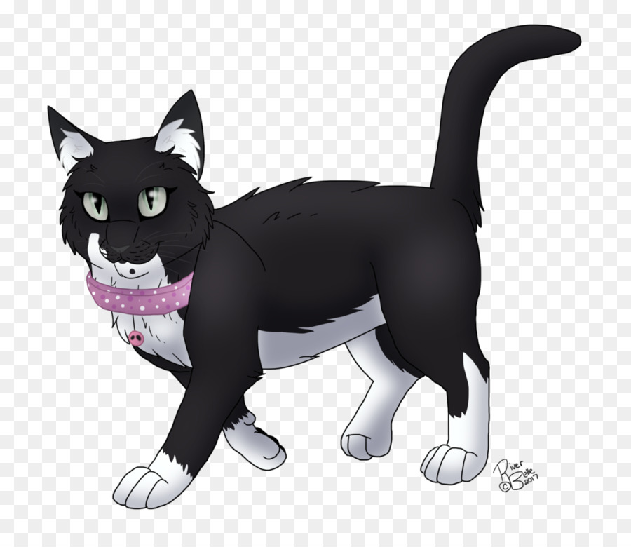 Chat Noir，Animal De Compagnie PNG