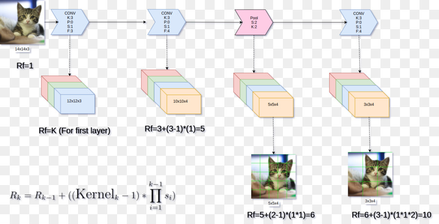 Réseau De Neurones à Convolution，Réseau De Neurones Artificiels PNG