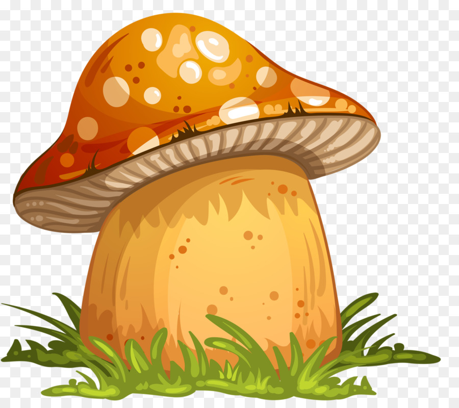 Champignon，Forêt PNG