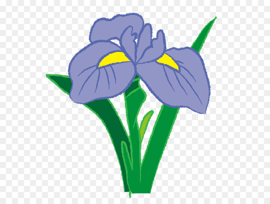 Fleur D'iris，Violet PNG