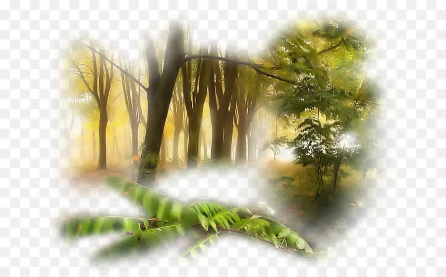 Paysage，Arbres PNG