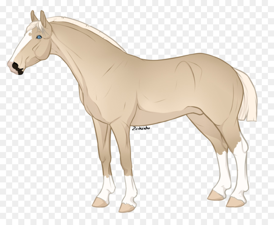 Cheval，équidé PNG