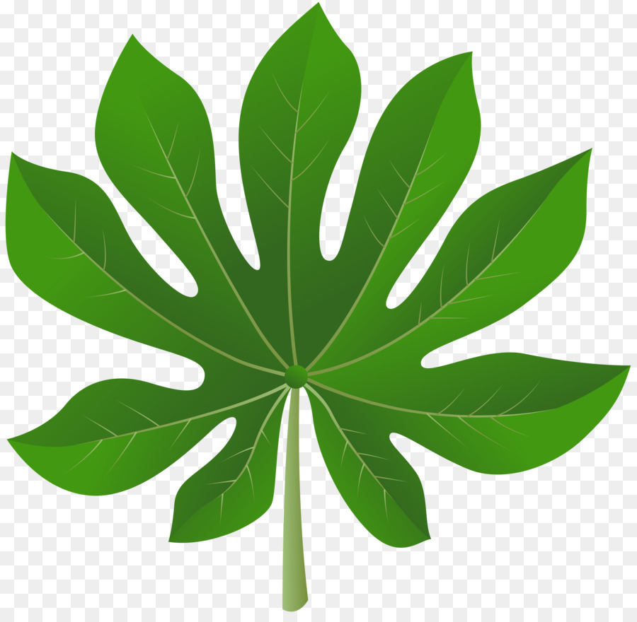 Feuille Verte，Gouttelettes D'eau PNG