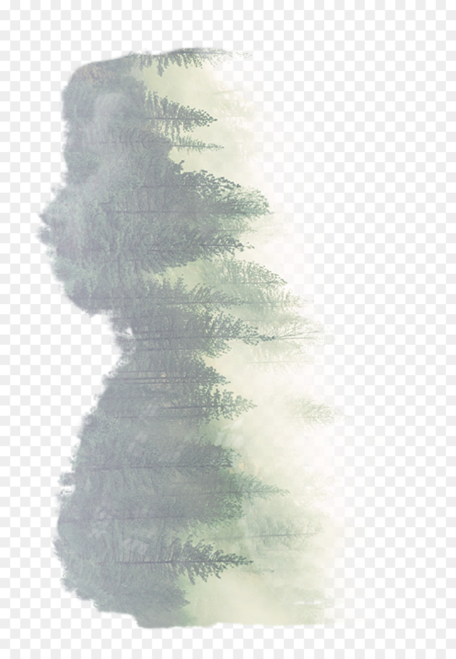 Forêt Silhouette，Arbres PNG