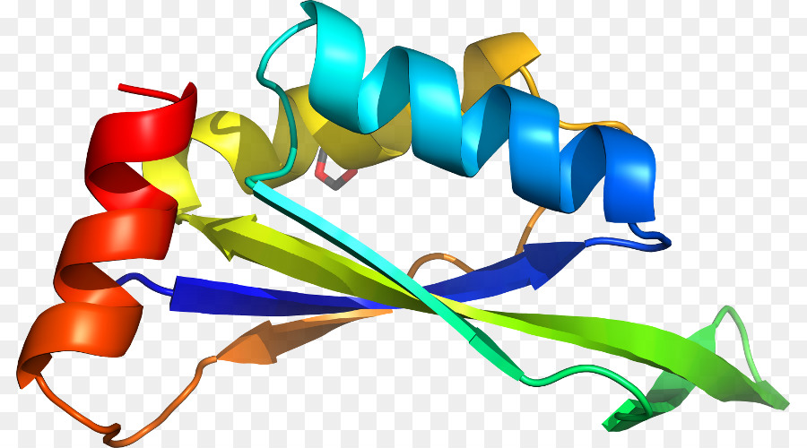 Hélice Protéique，Molécule PNG