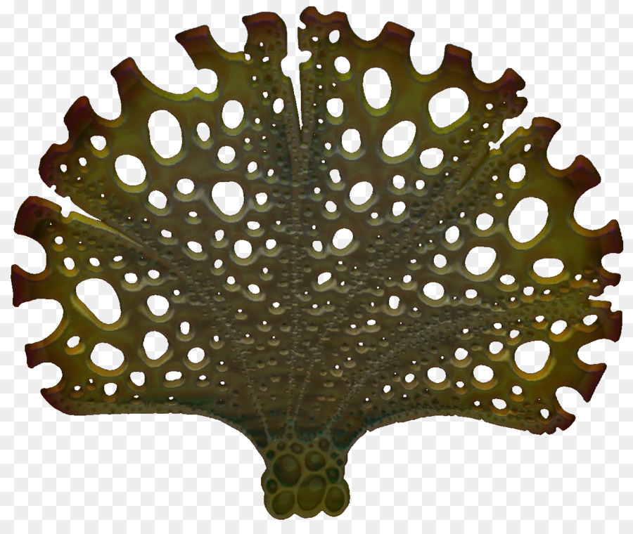 Feuille，Arbre PNG