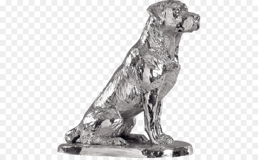 Race De Chien，Le Labrador Retriever PNG