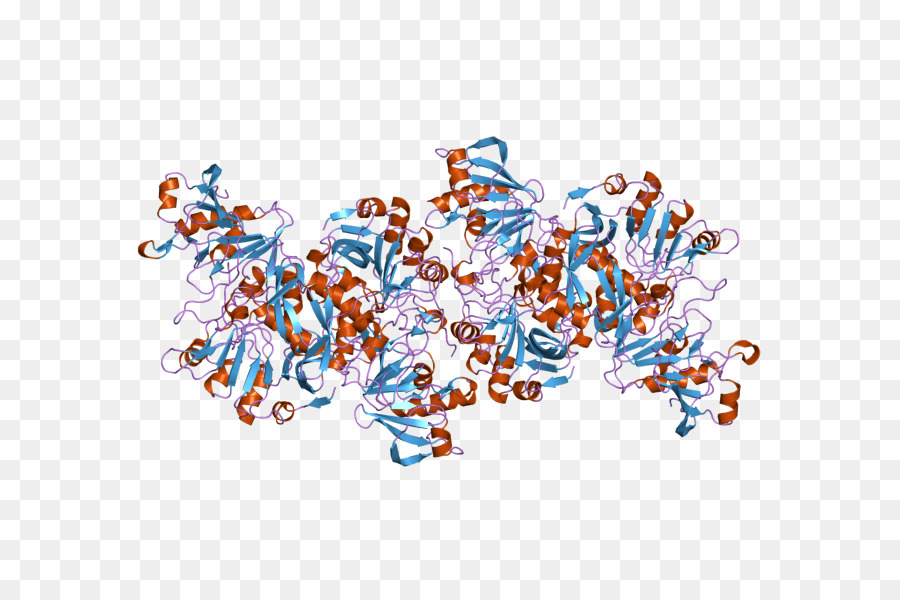 Structure Des Protéines，Molécule PNG