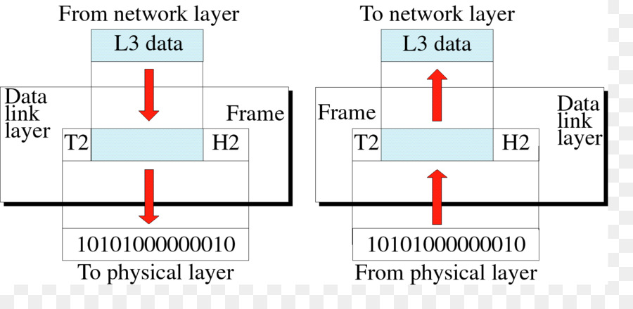 Document，Ligne PNG