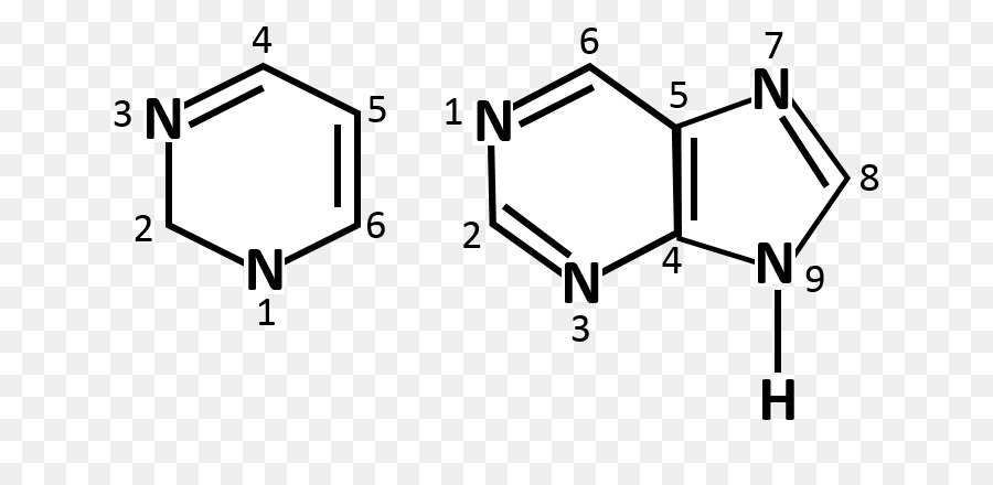 Structure Chimique，Molécule PNG