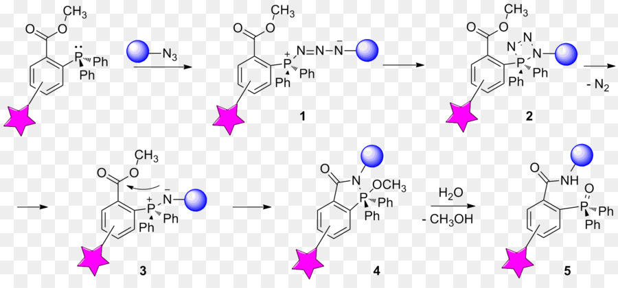 Réaction De Staudinger，Bioorthogonal Chimie PNG