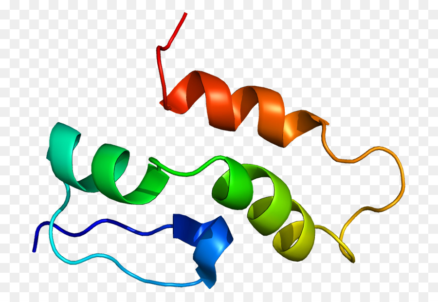 Hélice Protéique，Molécule PNG