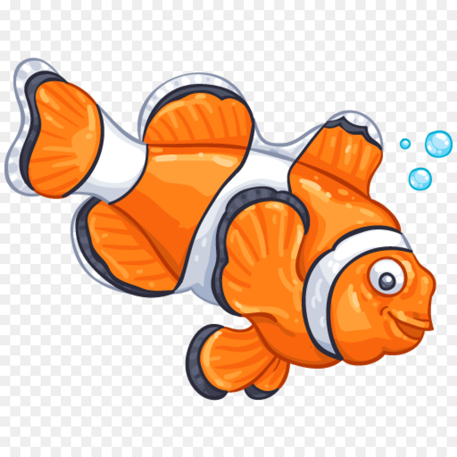 Des Poissons Clowns Les Poissons Tomate Poisson Clown Png Des Poissons Clowns Les Poissons Tomate Poisson Clown Transparentes Png Gratuit