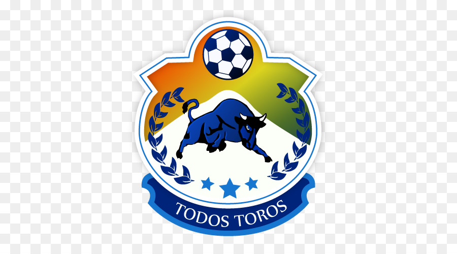 Cd Provincial Osorno，Football PNG