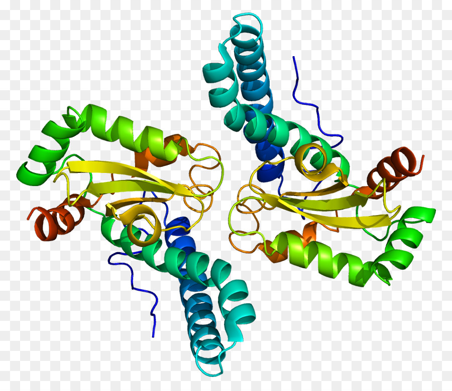 Macromolécule，Polymère PNG