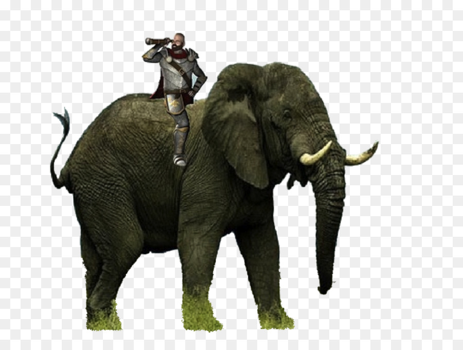 L éléphant，Éléphant D Asie PNG